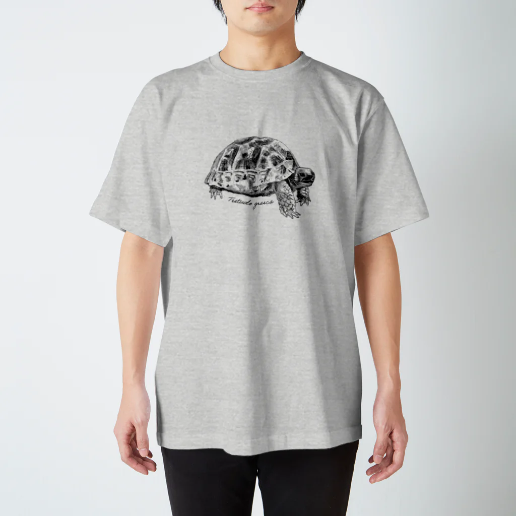 カメの歩みのギリシャリクガメ(デッサン) Regular Fit T-Shirt