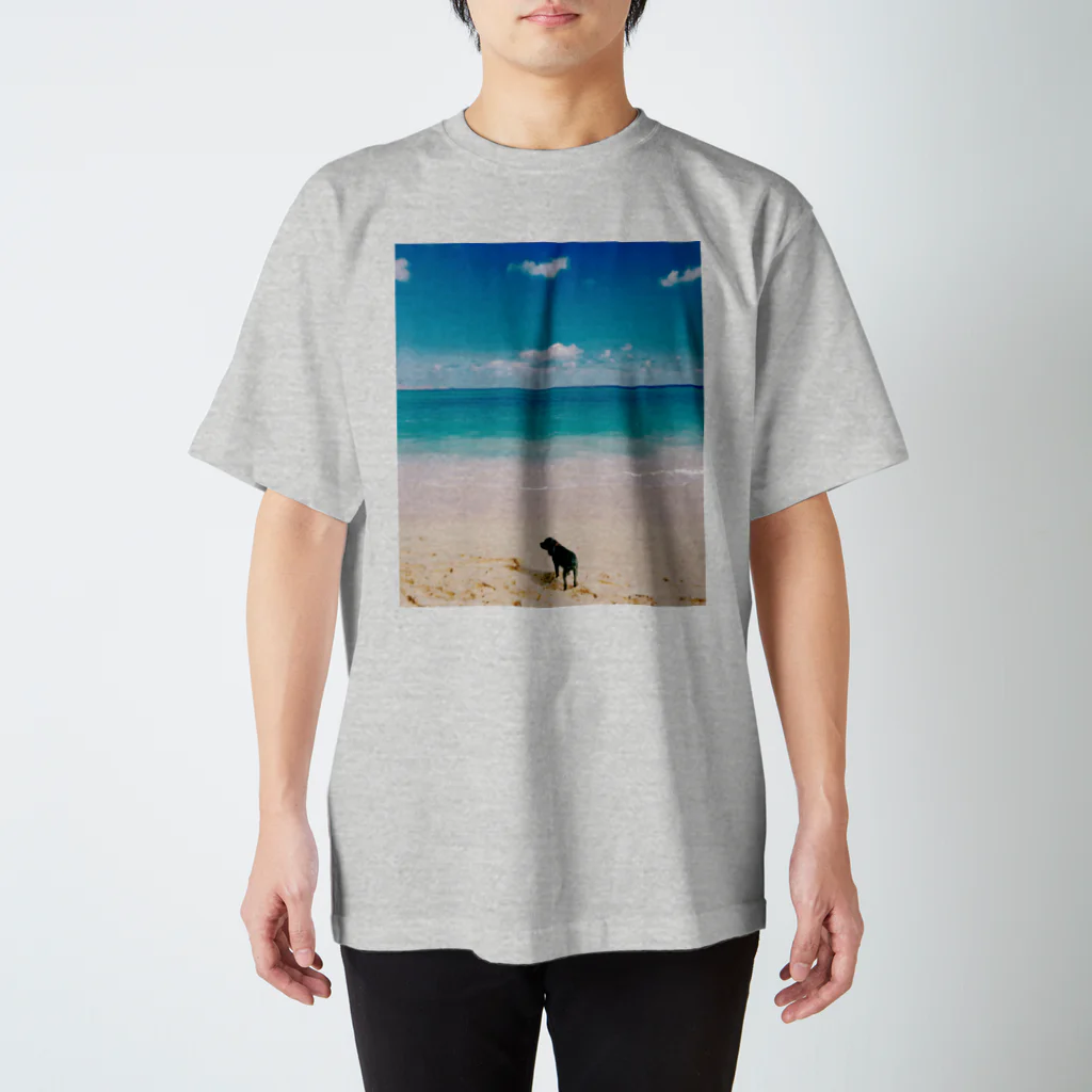 sa__photoのハワイの思い出 Regular Fit T-Shirt