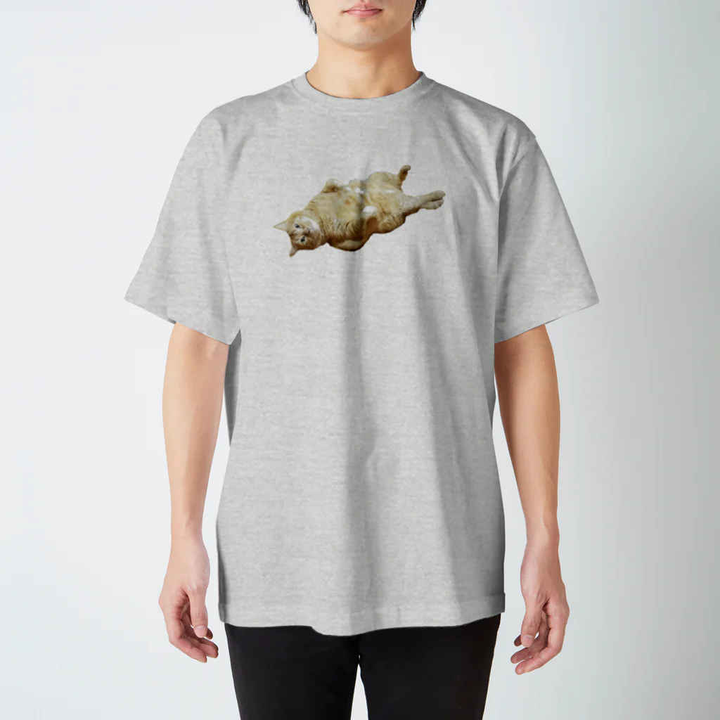あじゅ✮うんたま屋のdebu-涅槃T Regular Fit T-Shirt