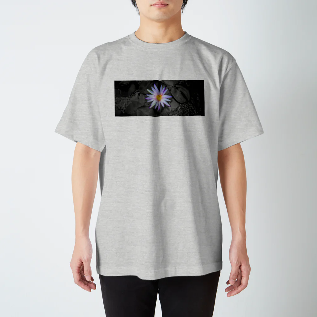 百瀬のハスの花 スタンダードTシャツ