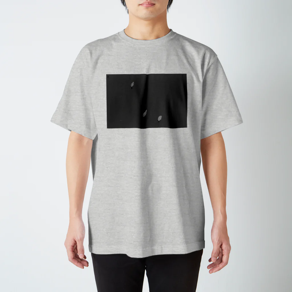 ⠒⠔ ⠑⠭⠏⠕⠎⠥⠗⠑⠎のSwans Regular Fit T-Shirt