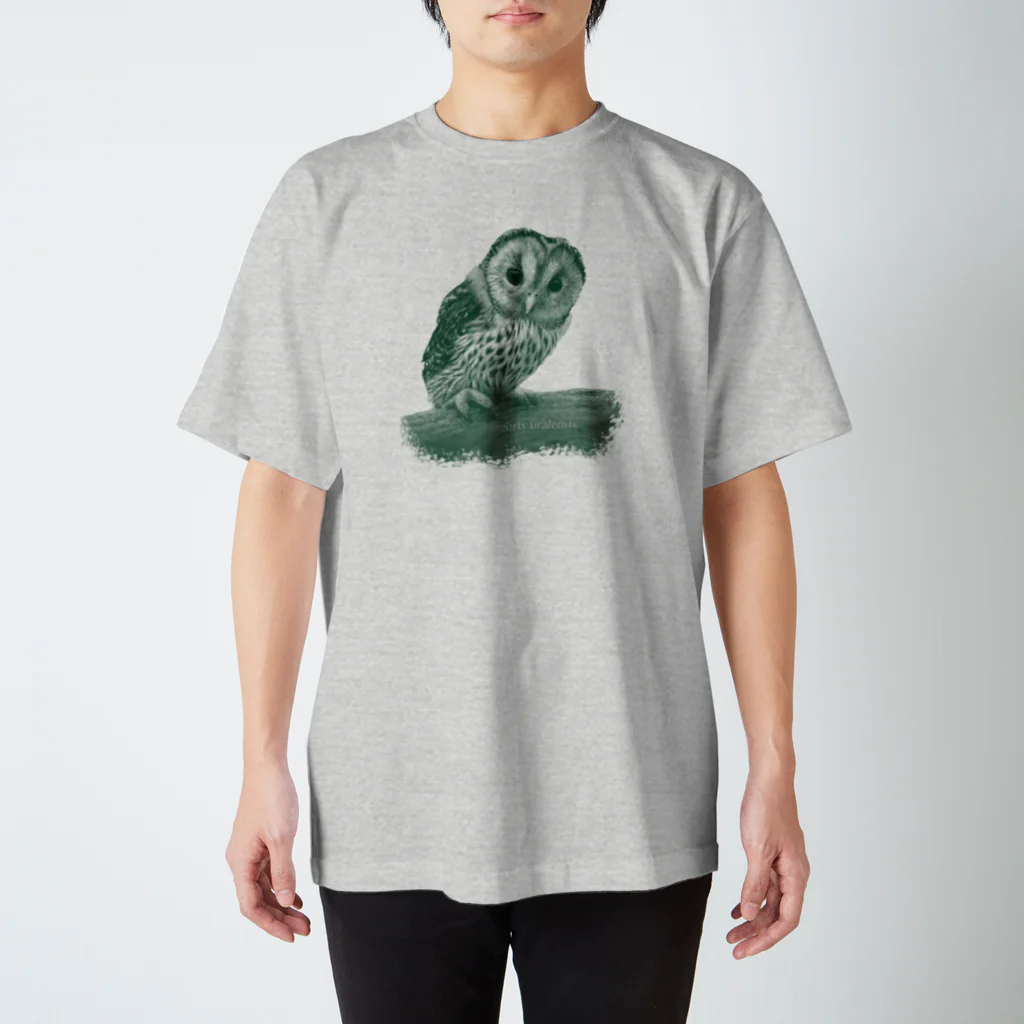 野鳥生活のフクロウの巣立ちびな（寄付） スタンダードTシャツ