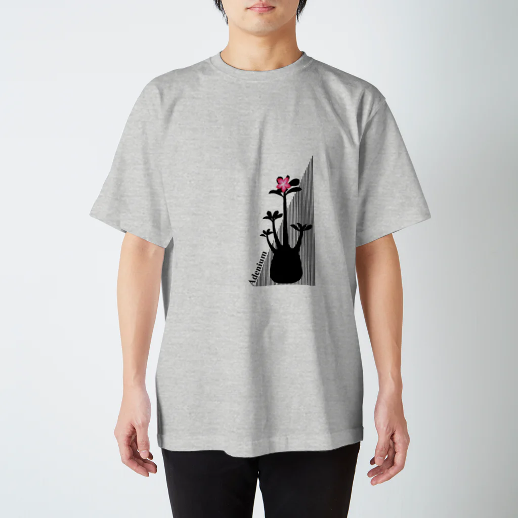 DOTEKKOのT-29 Adenium tall スタンダードTシャツ