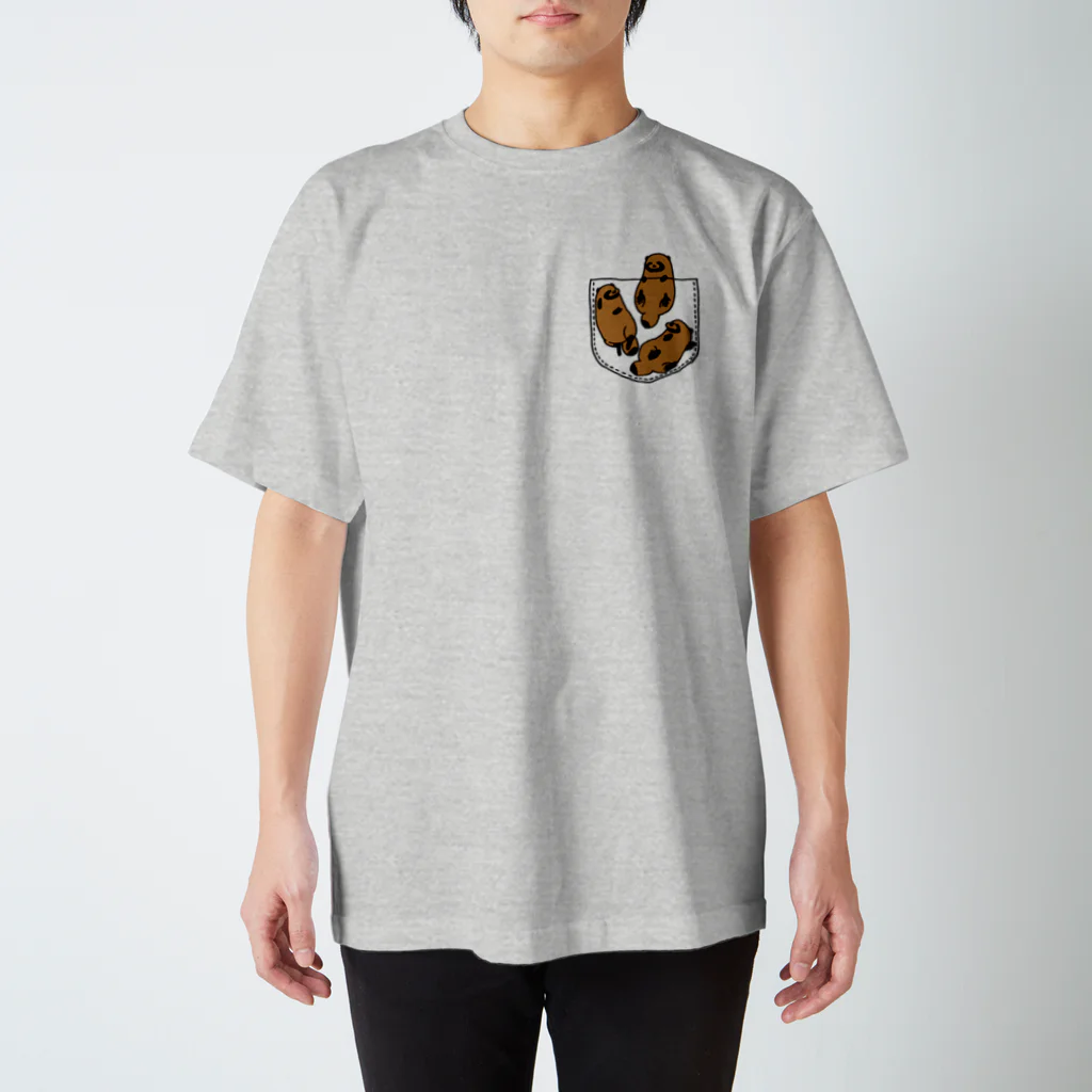 けわいのポケたぬ_スケスケ Regular Fit T-Shirt