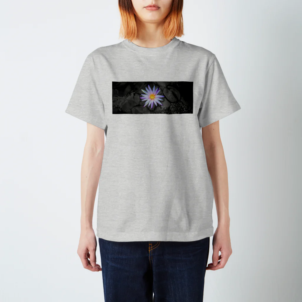 百瀬のハスの花 スタンダードTシャツ