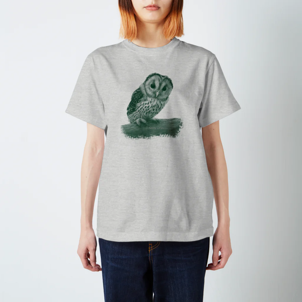 野鳥生活のフクロウの巣立ちびな（寄付） スタンダードTシャツ