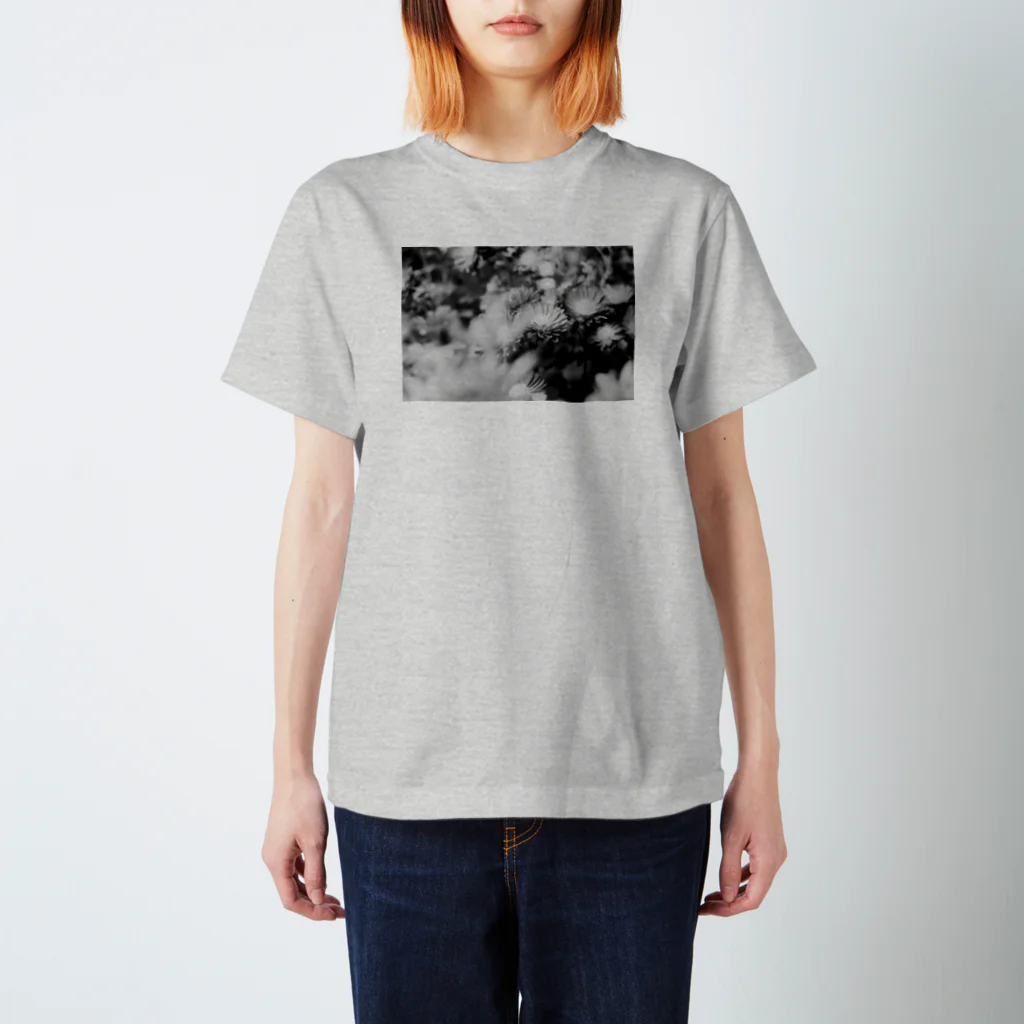 akane_art（茜音工房）のモノクロフラワー（キク） Regular Fit T-Shirt