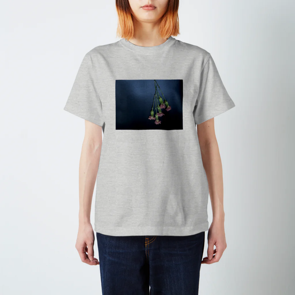 insparation｡   --- ｲﾝｽﾋﾟﾚｰｼｮﾝ｡の落花 スタンダードTシャツ