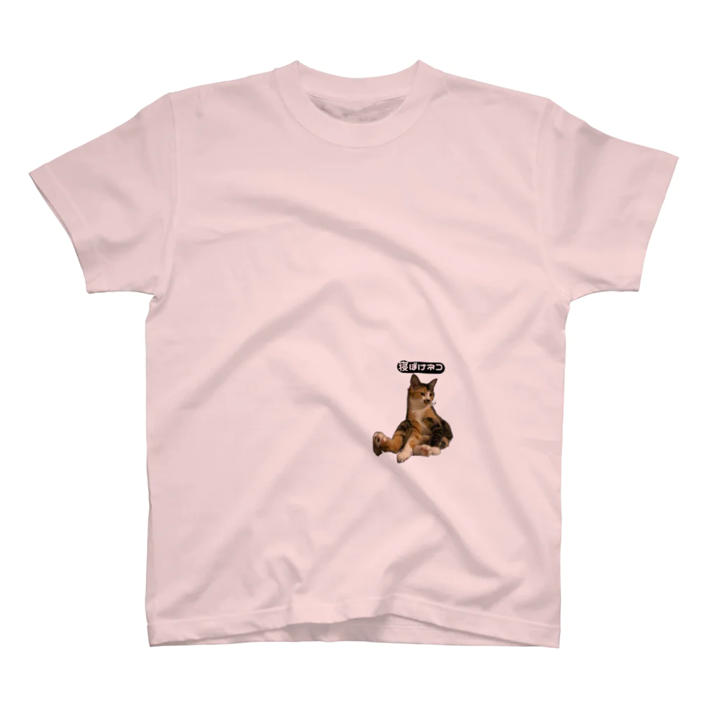 5aaMの寝ぼけ猫 Regular Fit T-Shirt