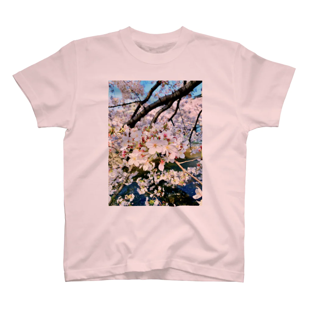 COLALのCherry Blossoms 2020 スタンダードTシャツ