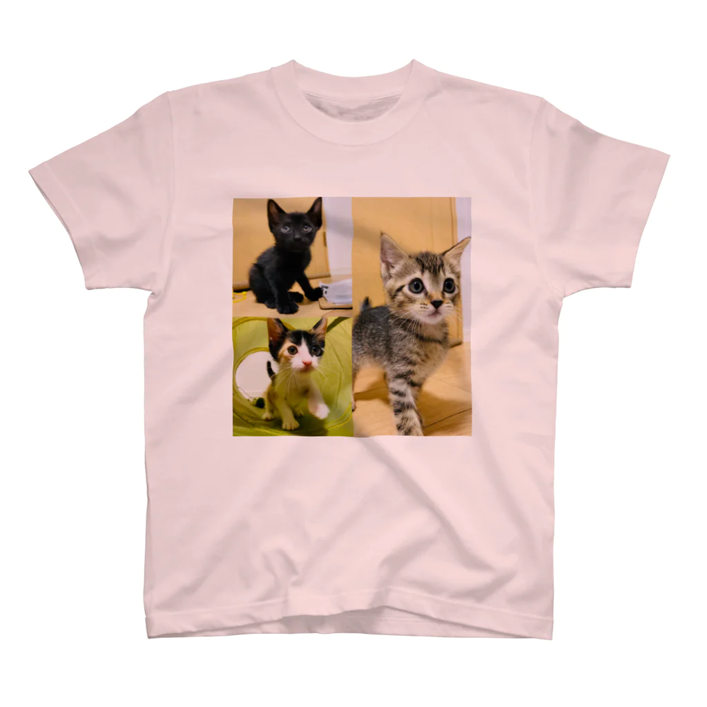 にゃんまるHOUSEの保護猫シスターズ3姉妹U/ちー/lee スタンダードTシャツ