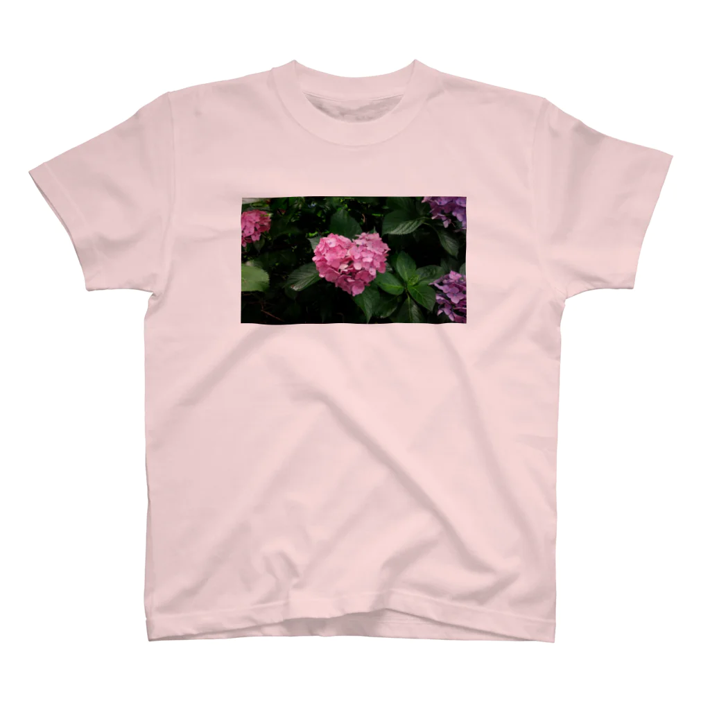 金木犀の紫陽花 Regular Fit T-Shirt