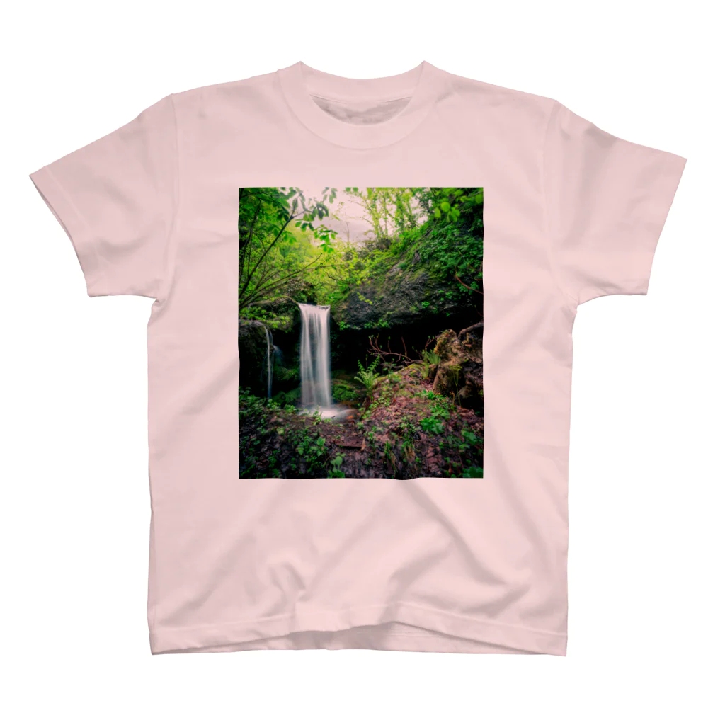WHITETREE（ホワイトツリー）のANATAKI Vol.1 Regular Fit T-Shirt