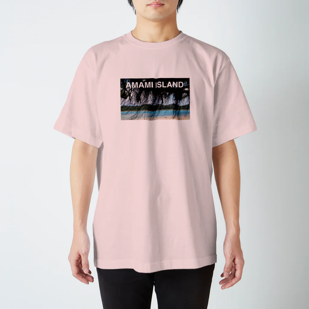 tidepoolのAMAgaMI ISLAND design T  スタンダードTシャツ