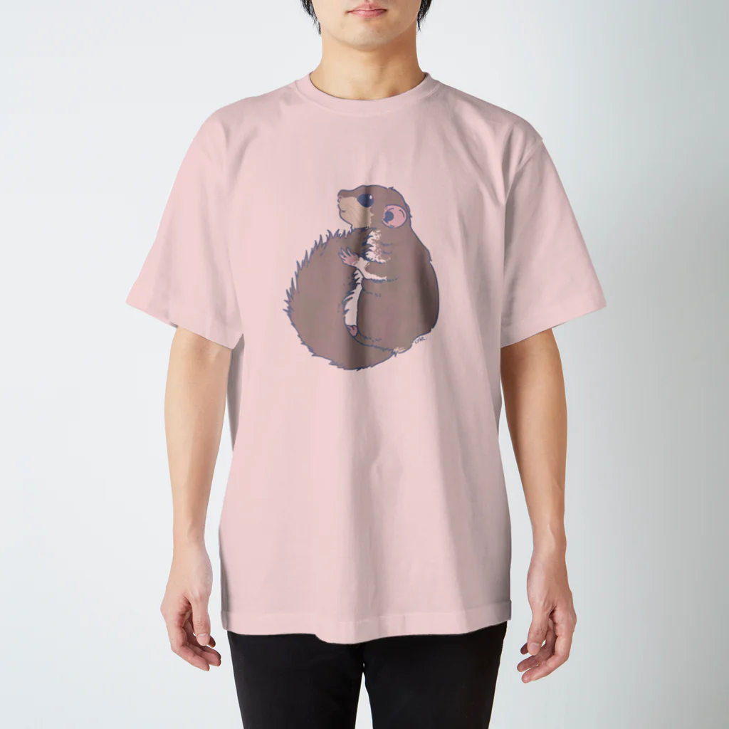 Lichtmuhleのくすみカラーのアフリカヤマネ01 Regular Fit T-Shirt