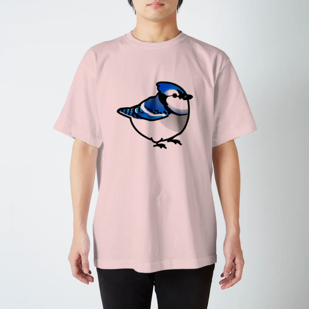 Cody the LovebirdのChubby Bird アオカケス　ブルージェイ スタンダードTシャツ