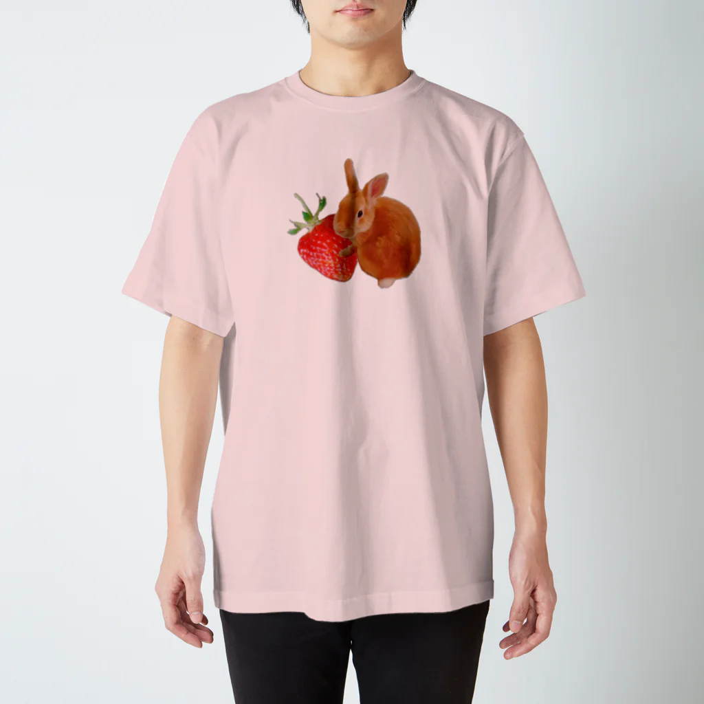 うさぎのうさちゃんのうさぎといちご Regular Fit T-Shirt