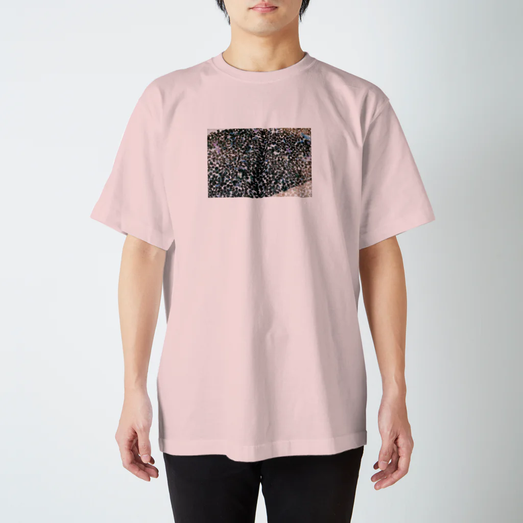 PHOTOGRAPHICsの反転した春 Regular Fit T-Shirt