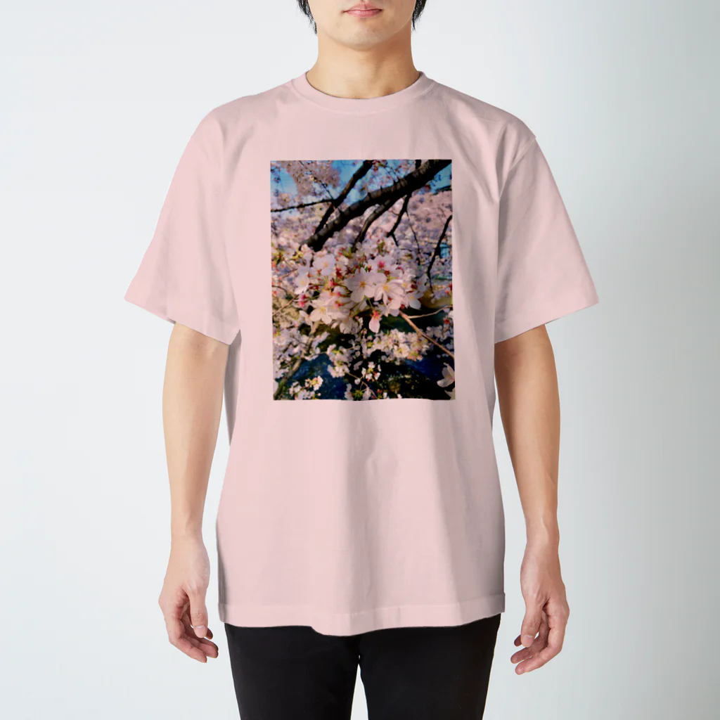 COLALのCherry Blossoms 2020 スタンダードTシャツ