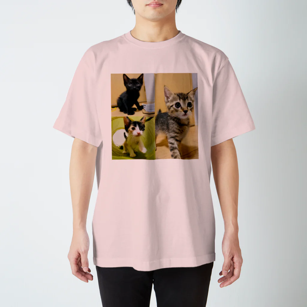 にゃんまるHOUSEの保護猫シスターズ3姉妹U/ちー/lee スタンダードTシャツ