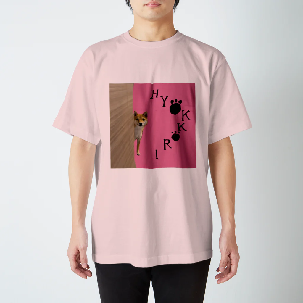 柴犬non-foxのひょっこり柴犬 スタンダードTシャツ