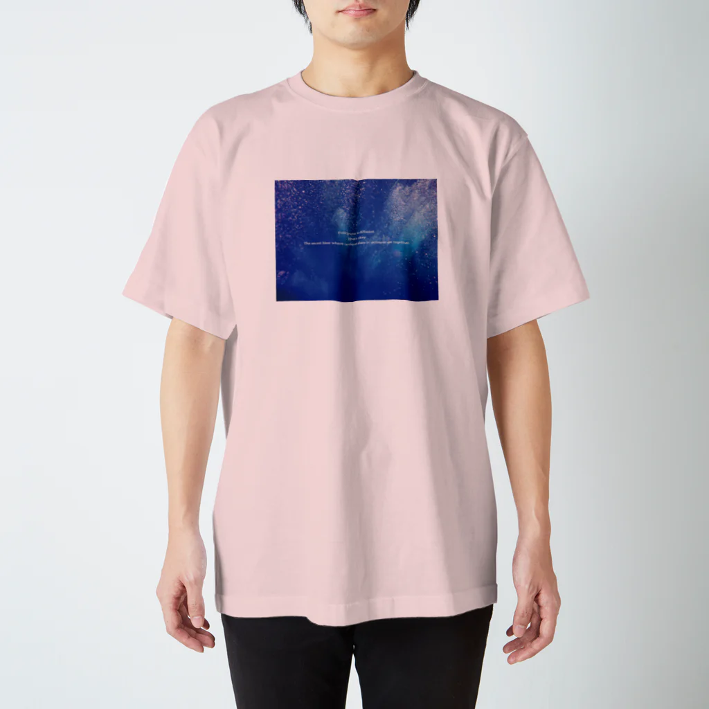 星ノ三丁目公式shopのTシャツ Regular Fit T-Shirt