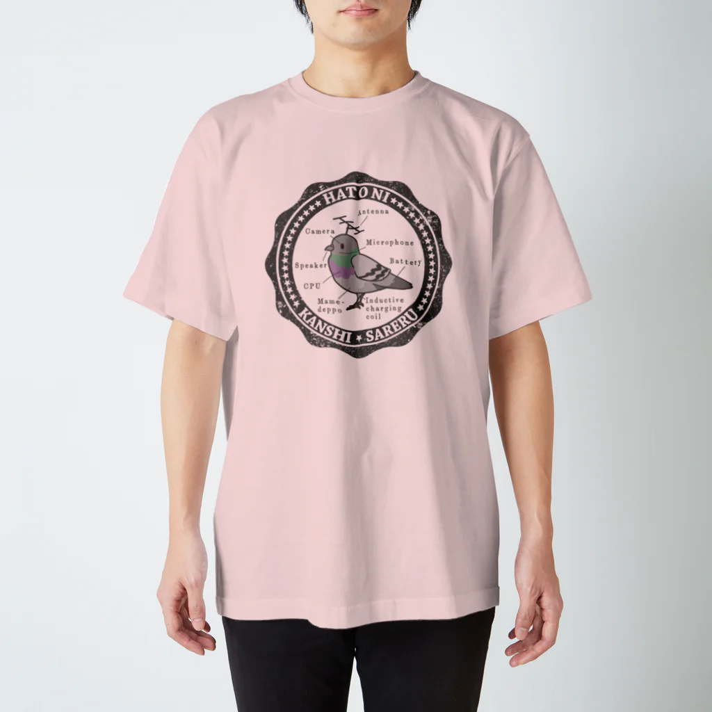 陰謀論かわいいのHATO NI KANSHI SARERU 公園にいるやつver. スタンダードTシャツ