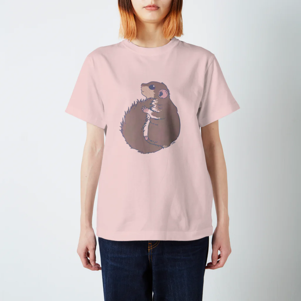 Lichtmuhleのくすみカラーのアフリカヤマネ01 Regular Fit T-Shirt