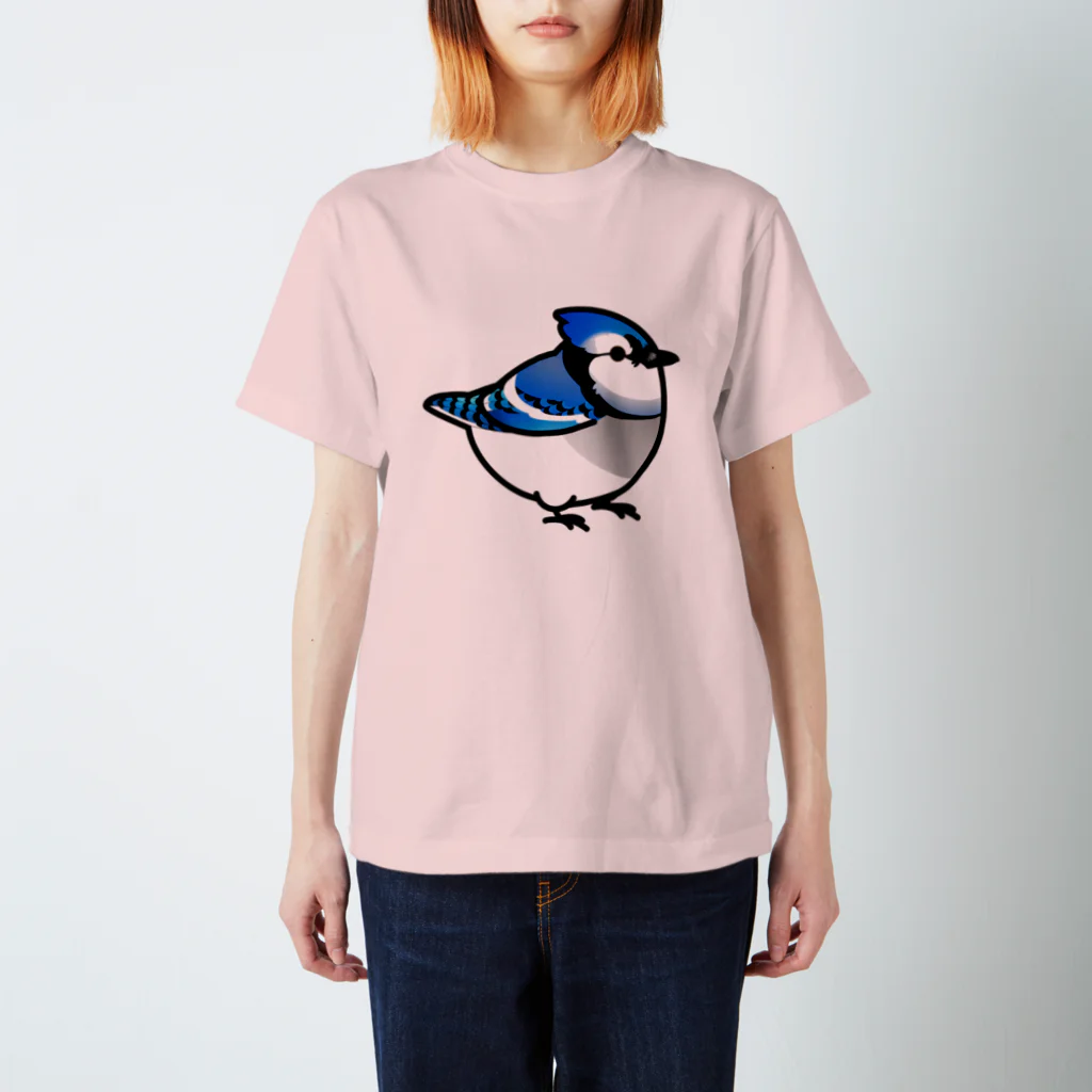 Cody the LovebirdのChubby Bird アオカケス　ブルージェイ スタンダードTシャツ