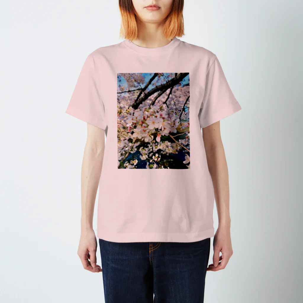 COLALのCherry Blossoms 2020 スタンダードTシャツ