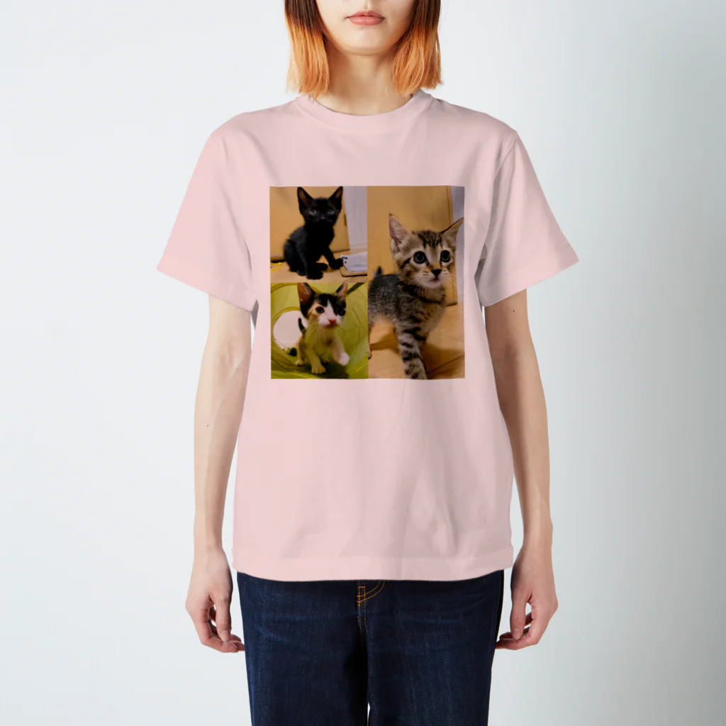 にゃんまるHOUSEの保護猫シスターズ3姉妹U/ちー/lee Regular Fit T-Shirt