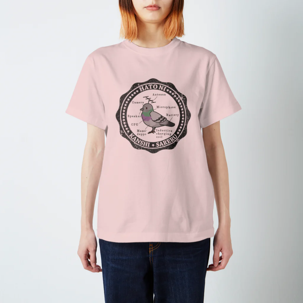 陰謀論かわいいのHATO NI KANSHI SARERU 公園にいるやつver. スタンダードTシャツ