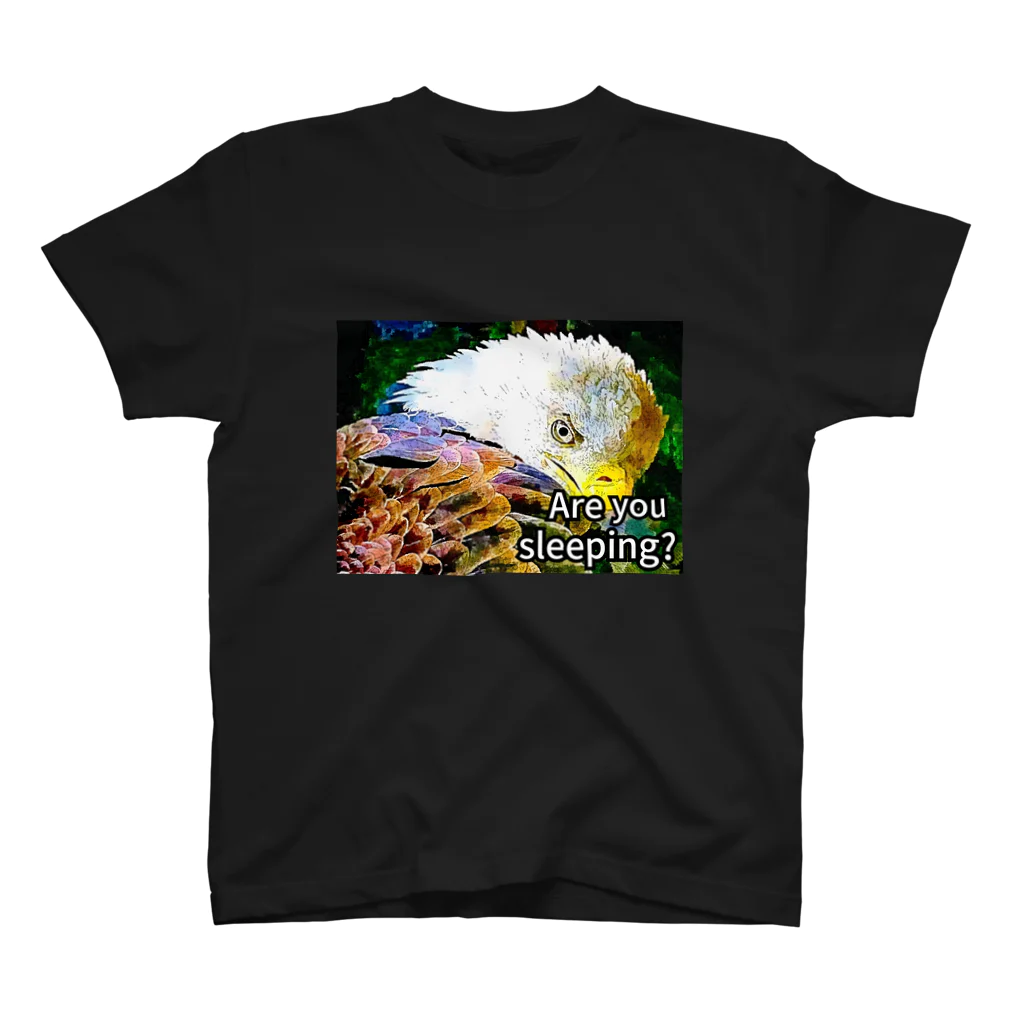 EagleeyeのEagleeye おい、寝てんのか？ スタンダードTシャツ