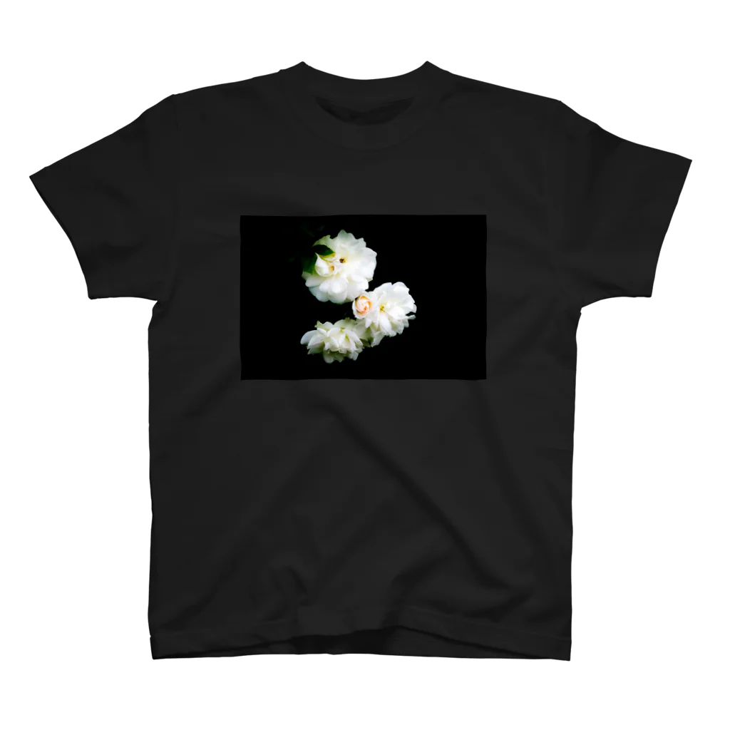 えびたろの浮かび上がる白薔薇 スタンダードTシャツ