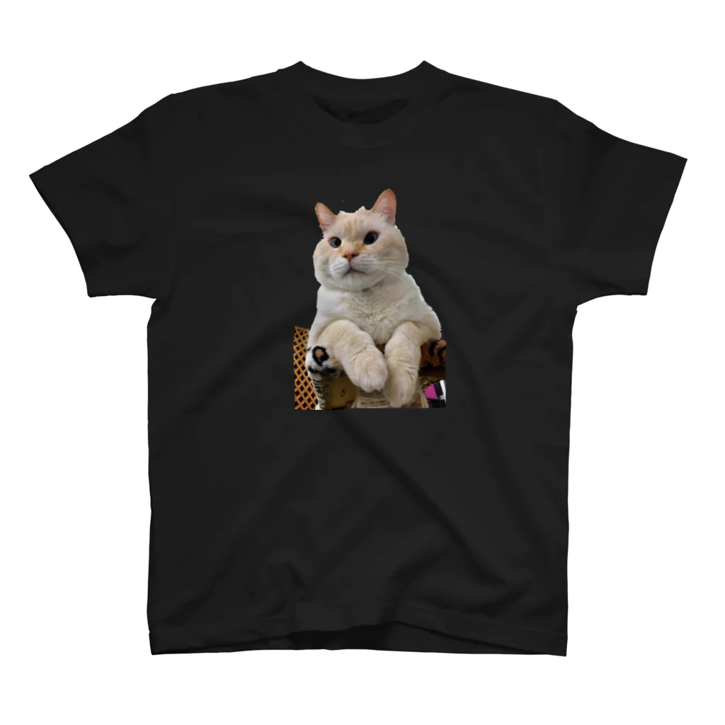 保護猫シェルターおうちにおいで。のむっちゃんAタイプ Regular Fit T-Shirt