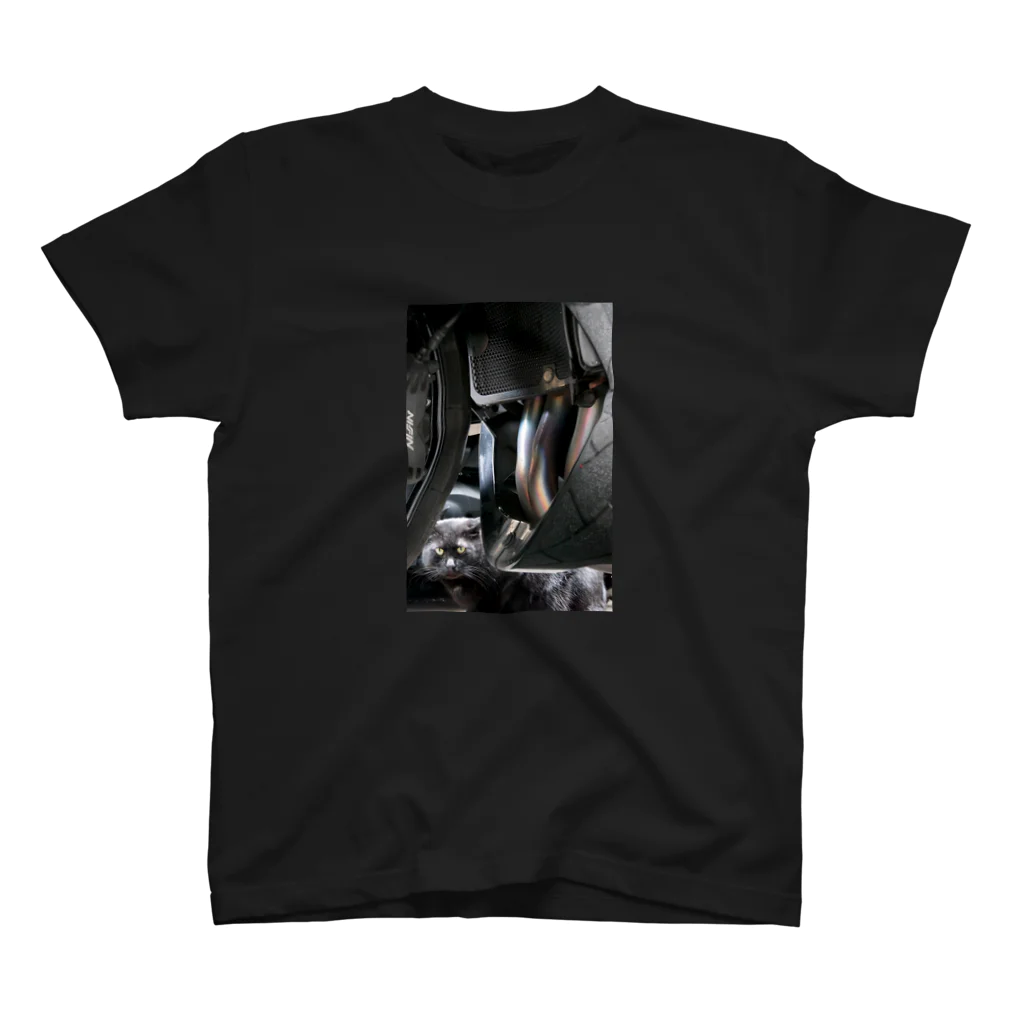 シッポ追いの猫写真店のBack in Black Regular Fit T-Shirt
