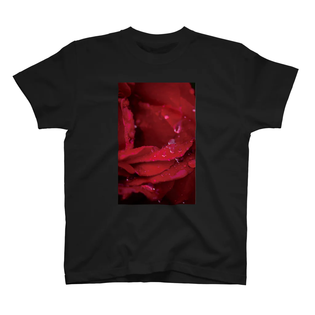 はるるるのrose Regular Fit T-Shirt