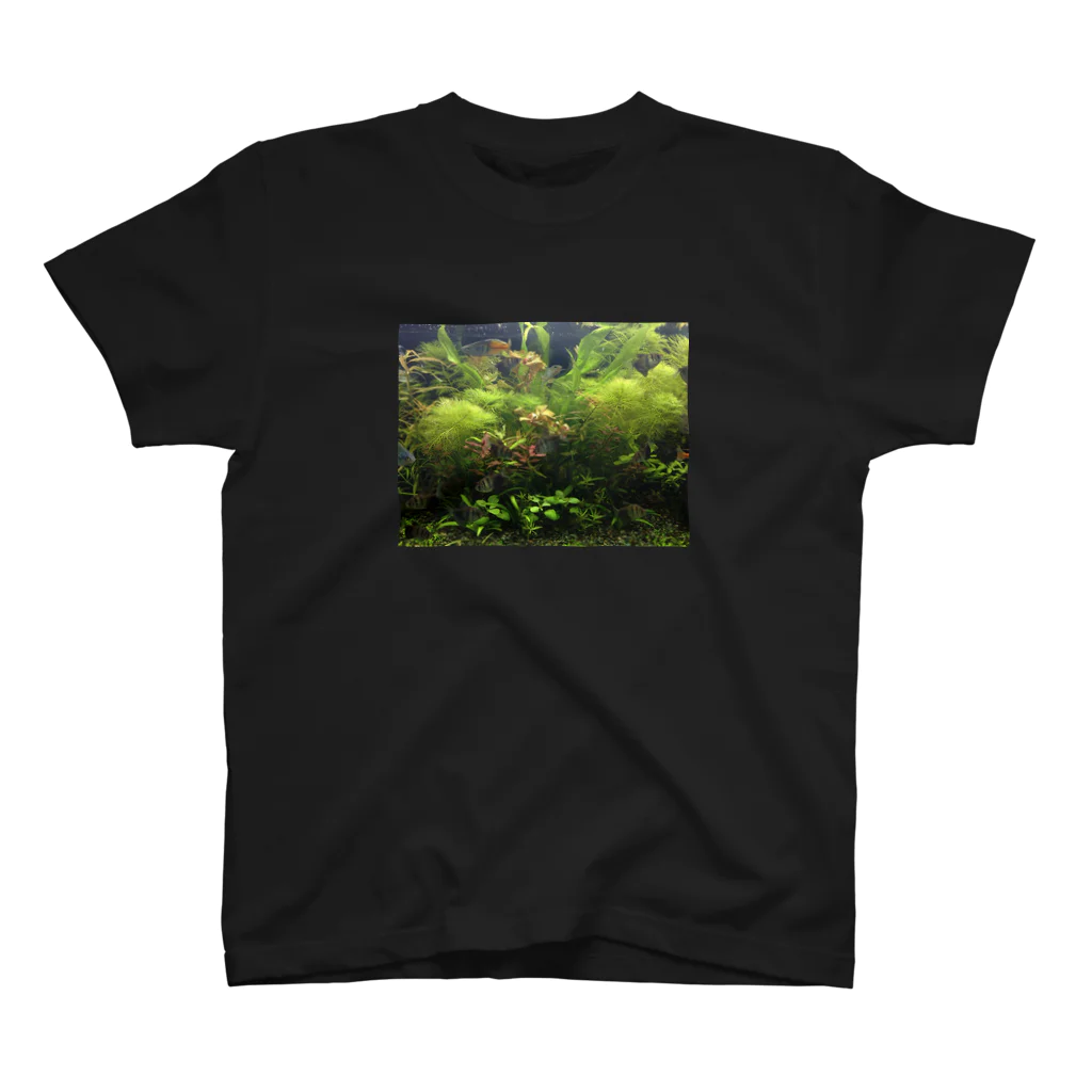 fazerの水景 スタンダードTシャツ