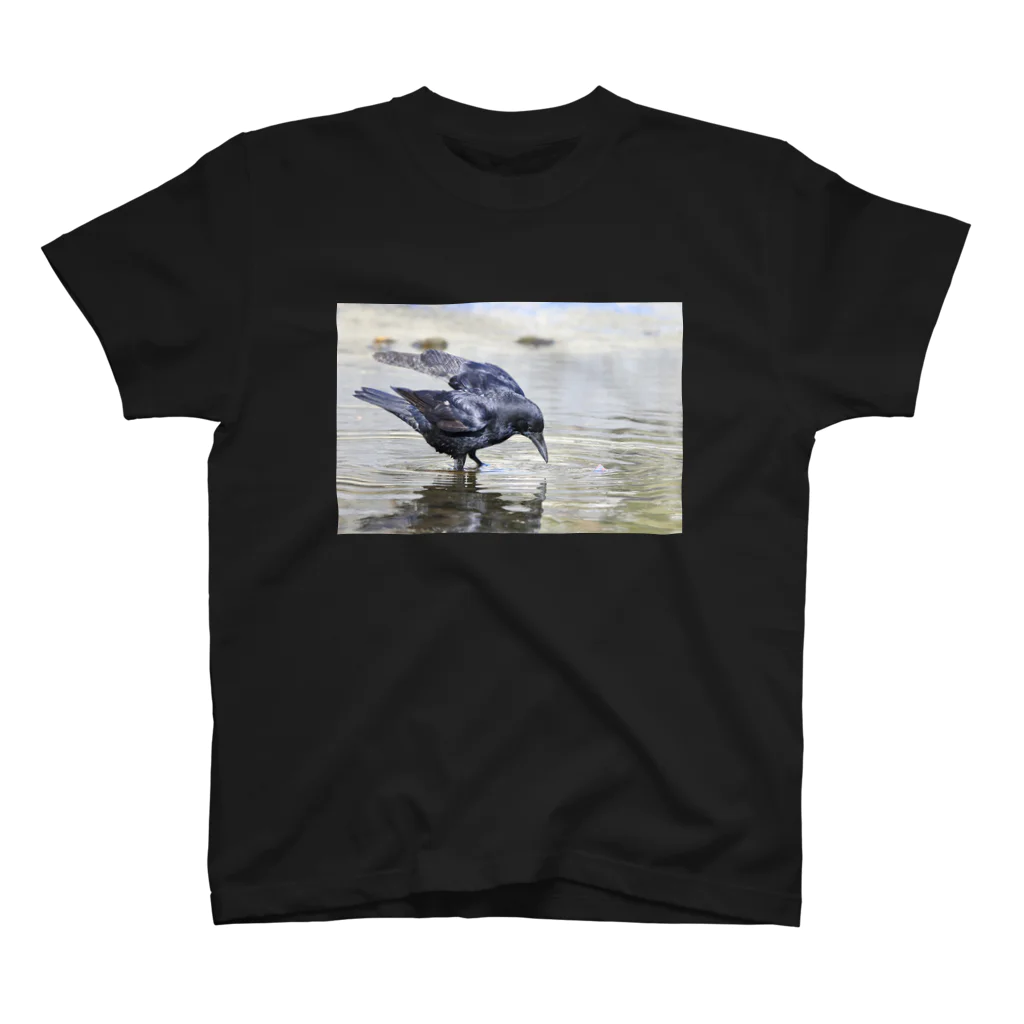 怪人カラス男の水辺のカラス Regular Fit T-Shirt