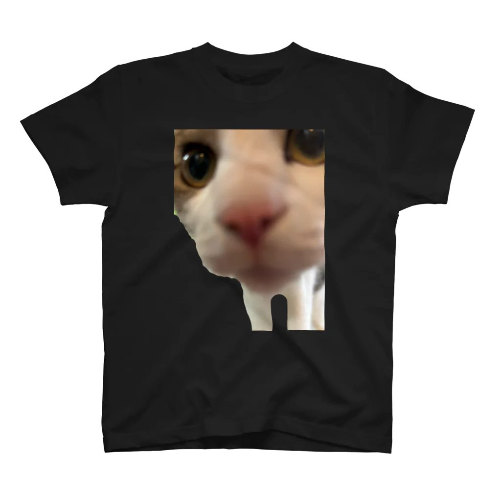 いやし猫　ふぁにーきゃっとのいやし猫　無限ちゃん Regular Fit T-Shirt