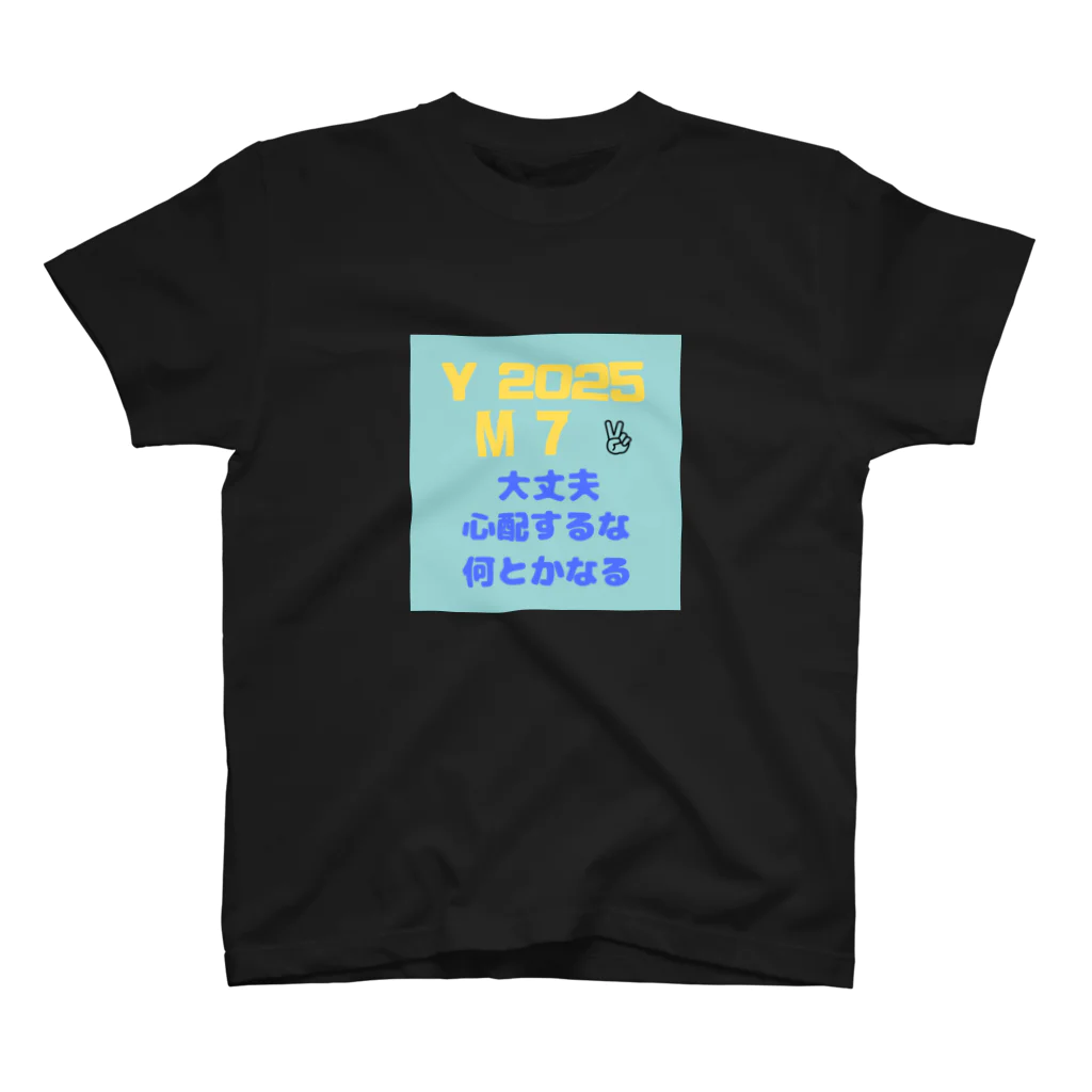 andoromedaのY　２０２５ Regular Fit T-Shirt
