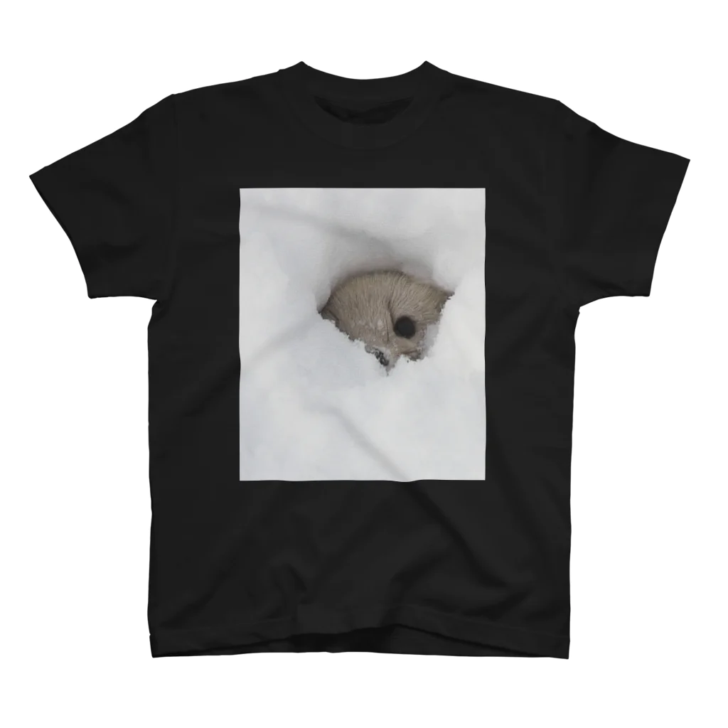 【動物の魔法】動物が好きな全ての人が笑顔溢れる毎日を過ごすための雑貨店◆にこらびの【認知度ＵＰ】サロベツのエゾクロテン Regular Fit T-Shirt