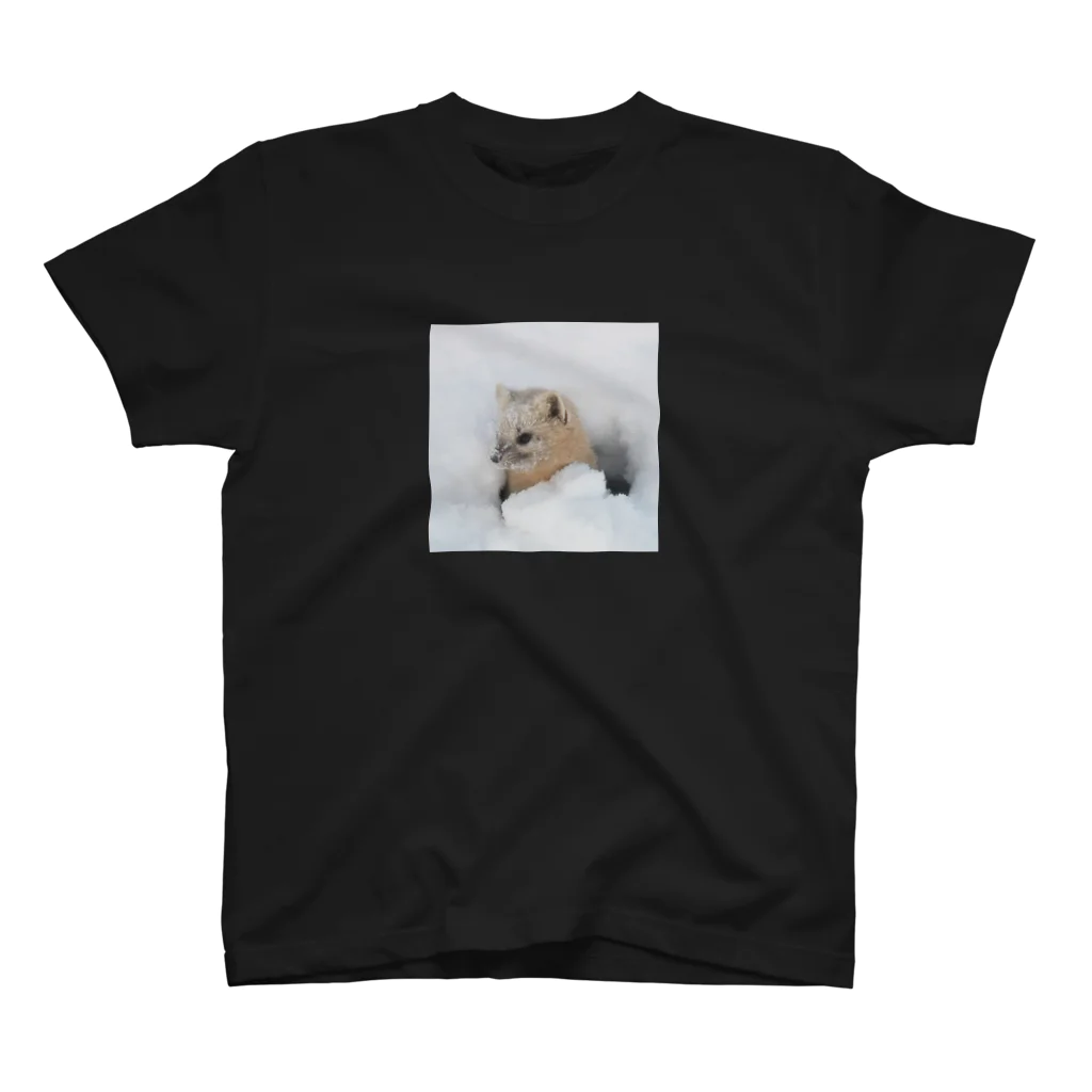 【動物の魔法】動物が好きな全ての人が笑顔溢れる毎日を過ごすための雑貨店◆にこらびの今癒されよう◆サロベツのエゾクロテン Regular Fit T-Shirt