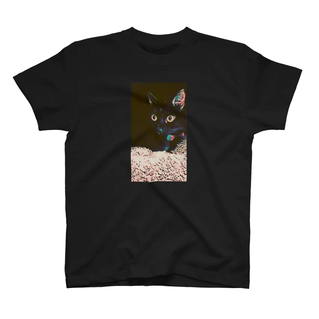 猫ねこネコ堂　SUZURI店のNoir　1 Regular Fit T-Shirt