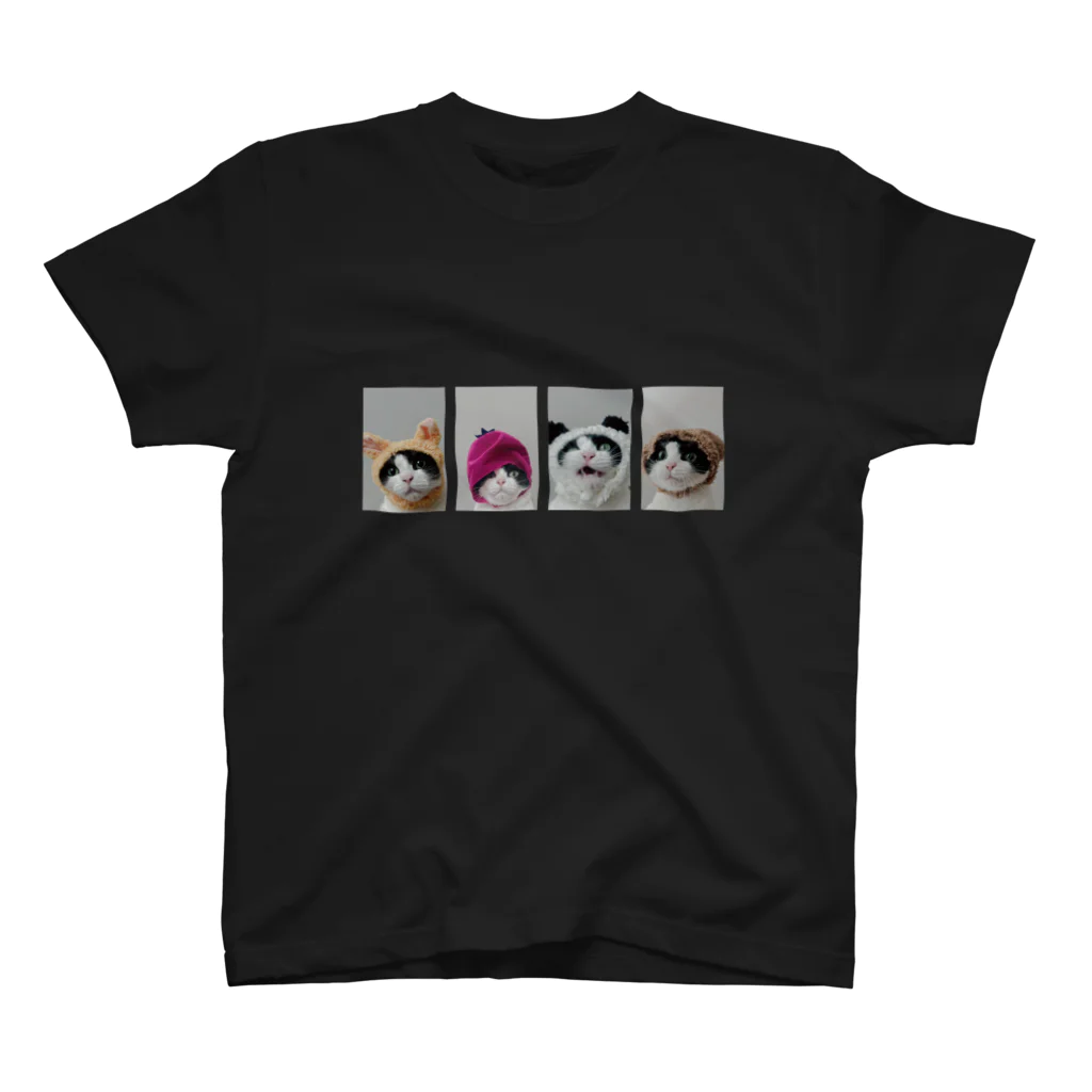 8wariのはちわれ猫の証明写真 スタンダードTシャツ