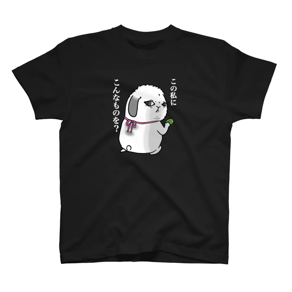 せわびとの部屋のこの私にこんなものを？ Regular Fit T-Shirt