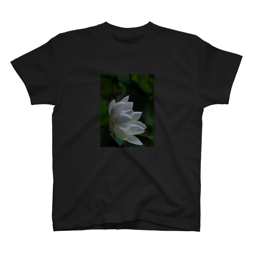 つぶつぶとのlotus（white） Regular Fit T-Shirt