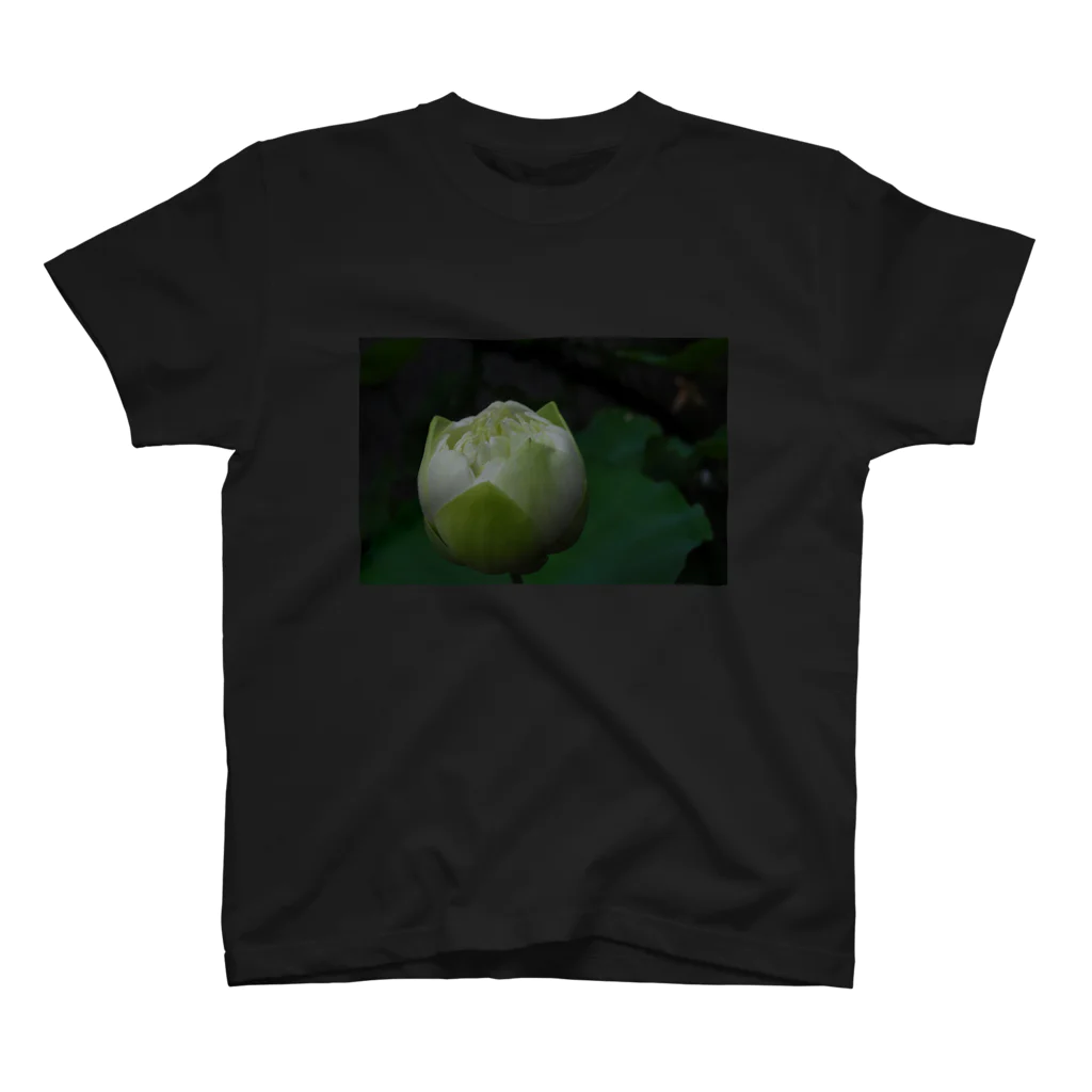 つぶつぶとのlotus（white bud） スタンダードTシャツ