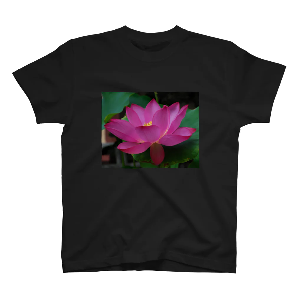 つぶつぶとのlotus（pink） Regular Fit T-Shirt