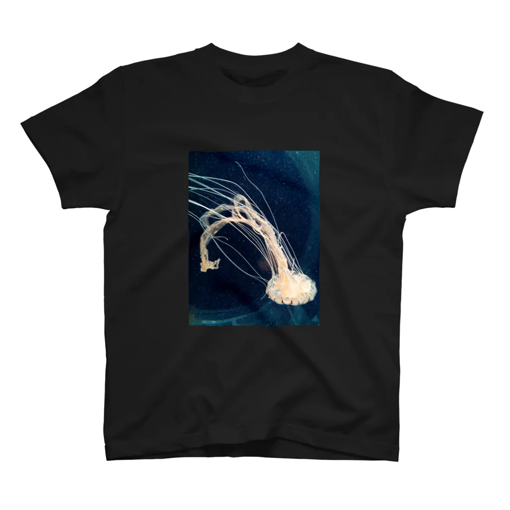 Tricolor-Catの深海の宴。 Regular Fit T-Shirt